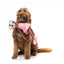 Peluche per cani FuzzYard Lankies Billie The Bear-Larina