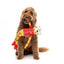 Peluche per cani FuzzYard Lankies Lewis The Drift-Tah