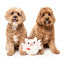 Peluche per cani FuzzYard Love Cu-pig, maialino Cupido