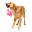 Peluche per cani FuzzYard Love Tail Chaser Perfume, boccetta di profumo
