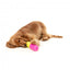 Gioco interattivo per cani porta snack FuzzYard Chill Pill