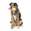 Gioco interattivo per cani porta snack FuzzYard Chill Pill