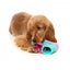 Gioco interattivo per cani FuzzYard Fresh Kicks n' Licks 3 in 1