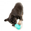 Gioco interattivo porta snack per cani FuzzYard Knuckle Sandwich