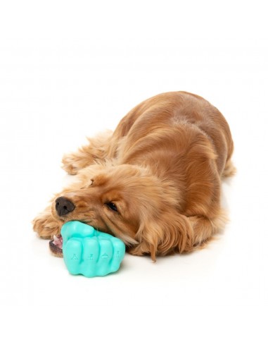 Gioco interattivo porta snack per cani FuzzYard Knuckle Sandwich