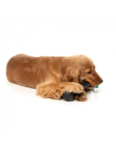 Gioco interattivo per cani FuzzYard Mic Drop con corda e squeaker