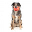 Gioco da leccare congelabile per cani FuzzYard Piña Coolada Freeze