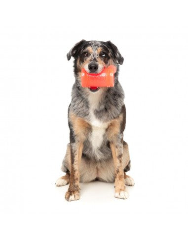 Gioco da leccare congelabile per cani FuzzYard Piña Coolada Freeze