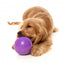 Palla porta snack per cani FuzzYard Truth Tellin' Ball