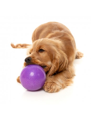Palla porta snack per cani FuzzYard Truth Tellin' Ball