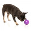 Palla porta snack per cani FuzzYard Truth Tellin' Ball