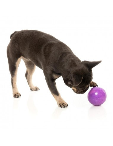 Palla porta snack per cani FuzzYard Truth Tellin' Ball