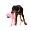 Peluche per cani FuzzYard Nasties Flo con squittio (taglia L)