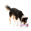 Peluche per cani FuzzYard Neck Minnits Neckita lama con collo elastico
