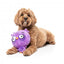 Peluche per cani FuzzYard Noggins Hoo Dini con squeaker