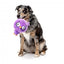 Peluche per cani FuzzYard Noggins Hoo Dini con squeaker