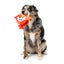 Peluche per cani FuzzYard Noggins Moo Hammad Ali con squeaker
