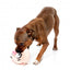Peluche per cani FuzzYard Noggins Snoop Hogg con squeaker