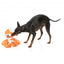 Peluche per cani FuzzYard Octo-Pose Sailor Squiggles polpo con squeaker
