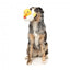 Peluche per cani FuzzYard Cupid Duck papera con squeaker