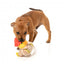 Peluche per cani FuzzYard papera Firequacker con squeaker
