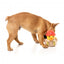 Peluche per cani FuzzYard papera Firequacker con squeaker
