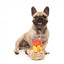 Peluche per cani FuzzYard papera Firequacker con squeaker