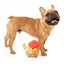 Peluche per cani FuzzYard papera Firequacker con squeaker