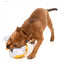 Peluche per cani FuzzYard papera Gordon Quacksay con squeaker