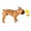Peluche per cani FuzzYard papera Gordon Quacksay con squeaker