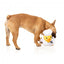 Peluche per cani FuzzYard papera Gordon Quacksay con squeaker