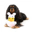 Peluche per cani FuzzYard papera coniglietto con squeaker