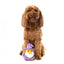 Peluche per cani FuzzYard papera Sirius Quack (taglia S)