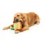 Peluche per cani FuzzYard avocado e toast, set da 2