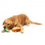 Peluche per cani FuzzYard avocado e toast, set da 2