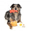 Peluche per cani FuzzYard Dog's Breakfast, set da 3