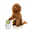 Peluche con suono per cani FuzzYard Retro Game Dog