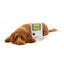 Peluche con suono per cani FuzzYard Retro Game Dog