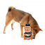 Peluche scoiattolo con suono per cani FuzzYard Curbside Carl