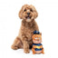 Peluche scoiattolo con suono per cani FuzzYard Curbside Carl