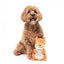 Peluche scoiattolo con suono per cani FuzzYard Karen