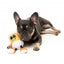 Peluche per cani con suono FuzzYard The Homies Steinzy
