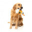 Peluche per cani con suono FuzzYard The Homies Steinzy