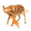 Peluche per cani con suono FuzzYard The Yeetz Farewell Fox