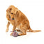 Peluche per cani con suono FuzzYard The Yeetz Peace Out Pigeon