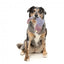 Peluche per cani con suono FuzzYard The Yeetz Peace Out Pigeon
