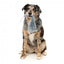 Peluche per cani con suono FuzzYard The Yeetz Rack Off Rat