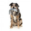 Peluche per cani con suono FuzzYard The Yeetz Rack Off Rat