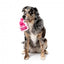 Peluche per cani con suono FuzzYard Y2K Better Than You Parfum