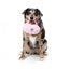 Peluche per cani FuzzYard Y2K Portable CD Player, lettore CD